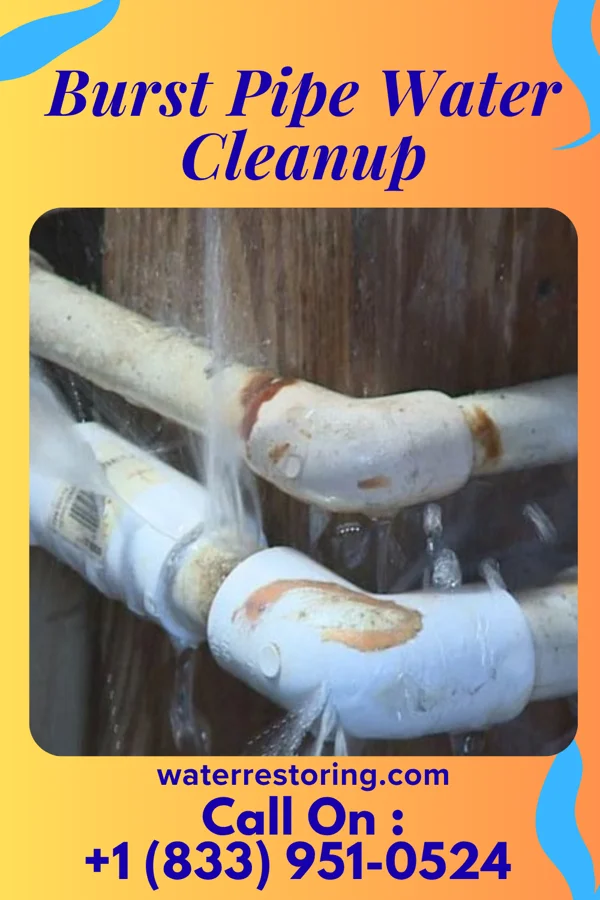 Burst Pipe Water Cleanup in Wilkeson, WA