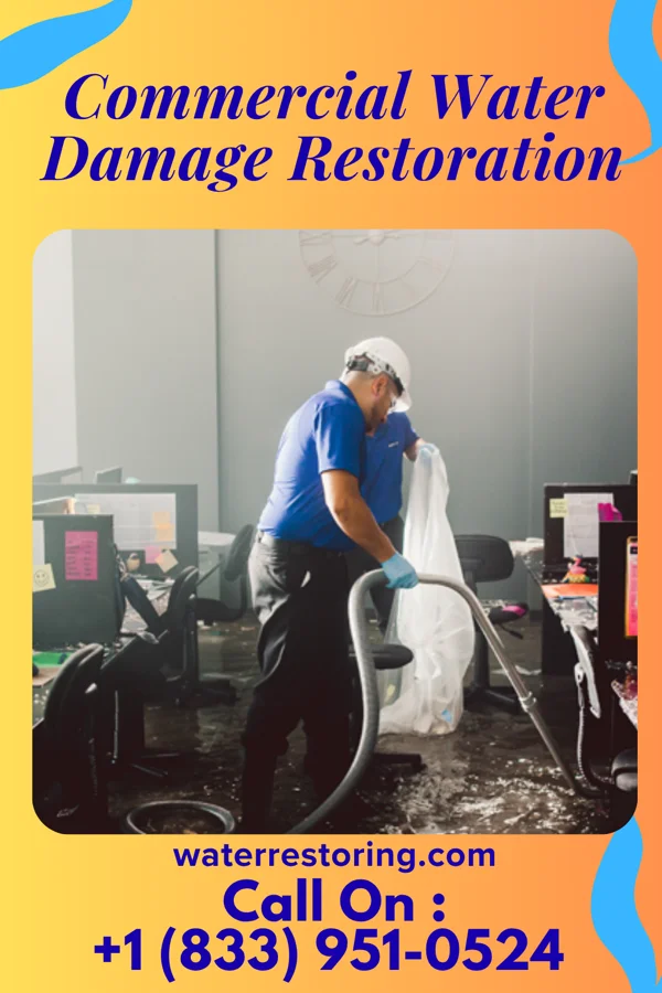 Commercial Water Damage Restoration in Wilkeson, WA