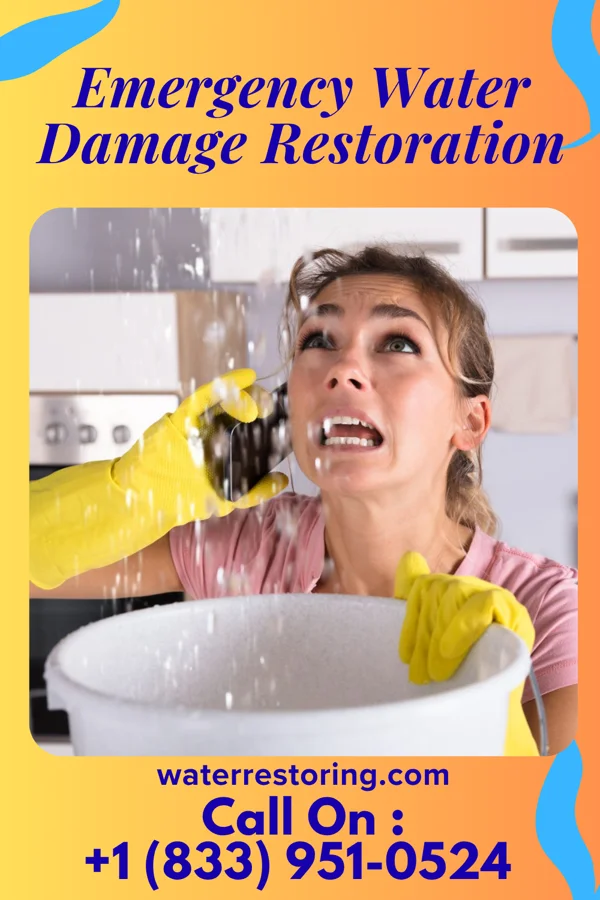 Emergency Water Damage Restoration in Wilkeson, WA