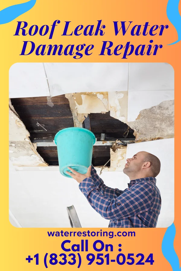 Roof Leak Water Damage Repair in Wilkeson, WA